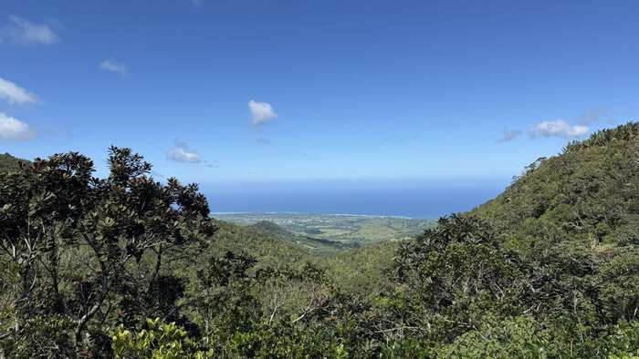 Havet på Mauritius sett frå ei frodig dalhøgde. Foto