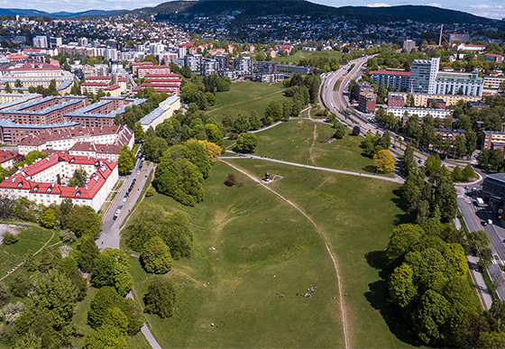 air photo of urban area