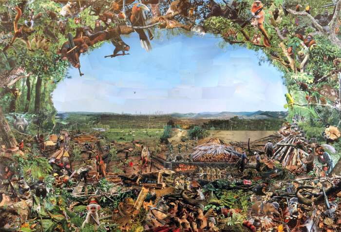 poster depicting animals, humans and nature sources from national geographic magazines