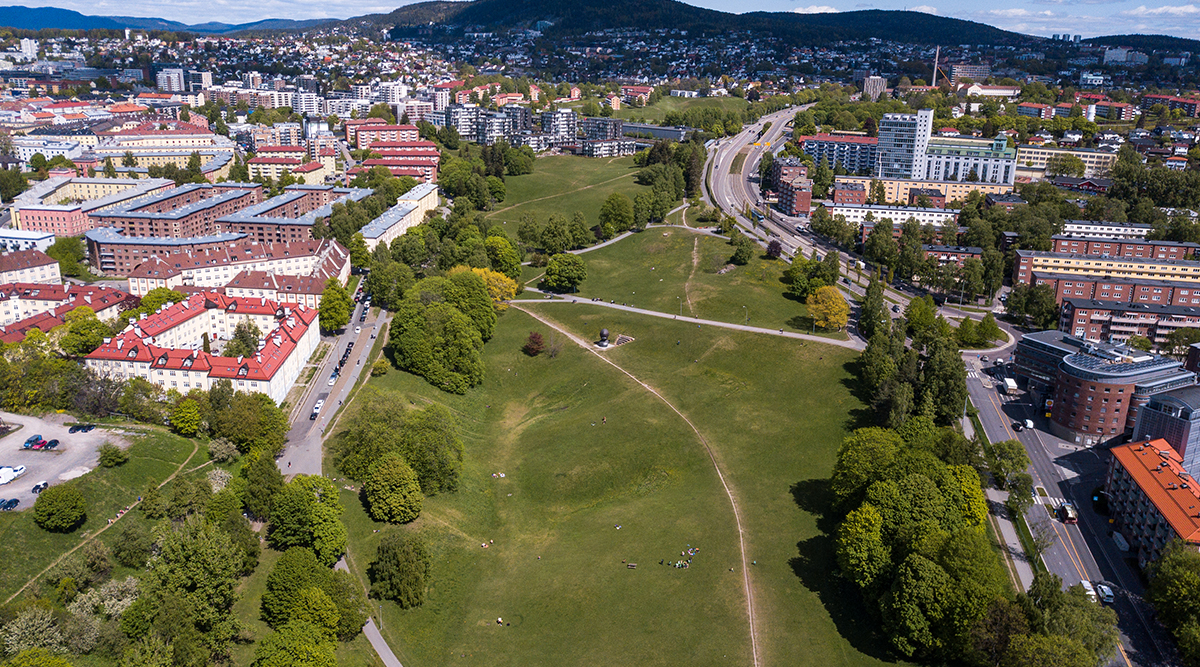 park, grønt areal, himmel, 